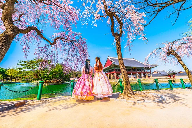 TOUR DU LỊCH HÀN QUỐC 5 NGÀY 4 ĐÊM BẢN PHỔ THÔNG NGẮM TRỌN VẺ ĐẸP HOA ANH ĐÀO (THÁNG 3,4) LỄ 30.4-1.5 TOUR CHẤT LƯỢNG CAO GIÁ TỐT TỪ HÀ NỘI TP HỒ CHÍ MINH - SEOUL-NAMI - EVERLAND - CÔNG VIÊN YEOUIDO - RỪNG SEOUL 